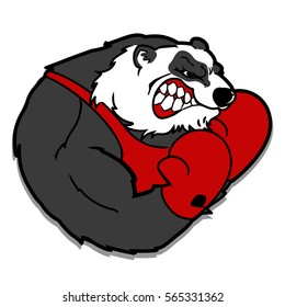 BOXING PANDA ANGRY  FUNNY BOXER VECTOR ILLUSTRATION