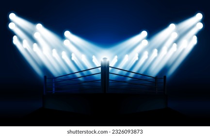 Diseño vectorial del estadio de la arena de boxeo.