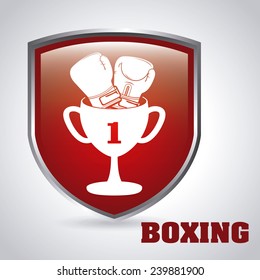 boxing sport