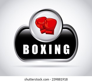 boxing sport