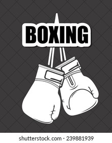 boxing sport