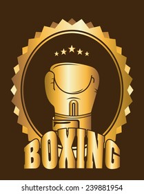 boxing sport