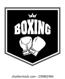 boxing sport