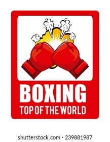 boxing sport