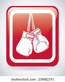 boxing sport