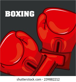 boxing sport