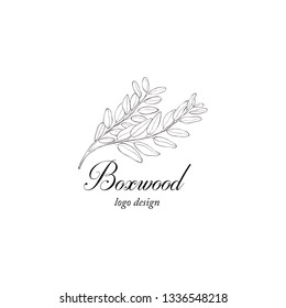 Boxwood plant branch. Greenery design element. Botanical hand drawn logo.