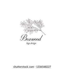 Boxwood plant branch. Greenery design element. Botanical hand drawn logo.