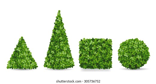 Boxwood shrubs of different forms. Topiary in the shape of a pyramid, sphere, cube. Decorative elements of the garden landscaping.