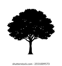 Vector de la silueta del árbol de Boxwood con un fondo blanco