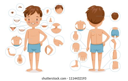 Boy body front view and rear view. Children with different parts of the body for teaching. Body details.The diagram shows the various external. parts of the body. Cartoon vector illustration isolated  - Shutterstock ID 1114432193