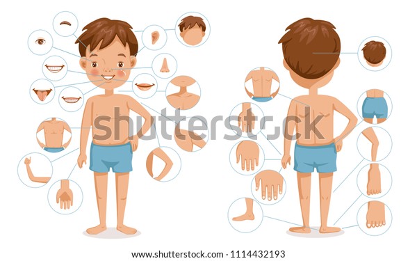 男の子の体の正面図と背面図 体の異なる部分を持つ子どもたちが教える 本文の詳細 図は様々な外部を示しています 体の一部 カートーンのベクターイラスト のベクター画像素材 ロイヤリティフリー