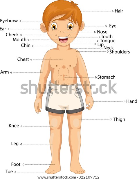 Boy Body Part Cartoon Stock Vector (Royalty Free) 322109912