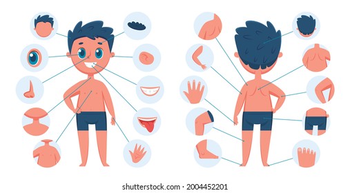 Boy Body Parts. Child Body Part Anatomy Education For Children. Learning Face Parts For Kids. Vector Preschool Educational Infographic. Human Medical Or Biological Study Male Elements