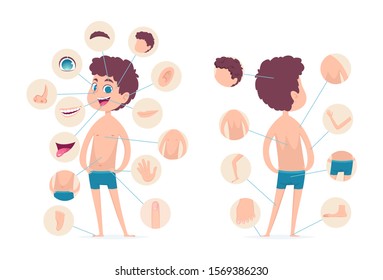 Boy body parts. Young human school male kid anatomy hands legs fingers head vector cartoon character