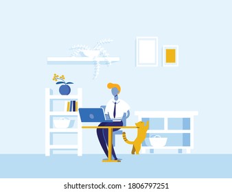 Boy is busy doing work on his laptop and his cat is exploring the shelves.  