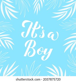 It's a boy calligraphy lettering on blue background with palm leaves. Gender reveal sign. Baby shower decorations. Vector template for invitation, greeting card, banner, typography poster, label, etc.