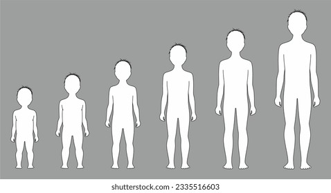 Boy child figure from 1 to 10 years old. Changes in proportions. Children growth silhouette. Croquis template technical drawing. Vector illustration.