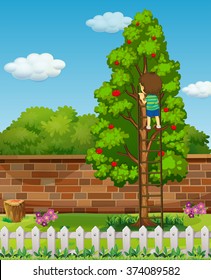 Boy climbing apple tree  illustration