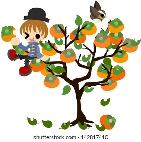 A boy climbs the persimmon tree and eats a persimmon.
