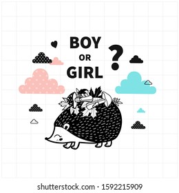 Boy or girl? Cute vector card for gender reveal party. Illustration with  hedgehog.