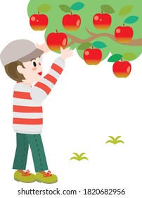 A boy doing apple picking.