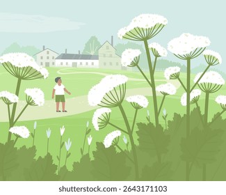 A boy examines a dangerous hogweed. The spread of hogweed has disrupted the ecological balance and has become a serious problem for people. Flat vector illustration.