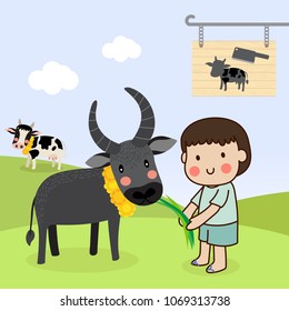 Boy feeding a buffalo and saving cattle lives from the Slaughterhouse.