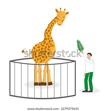 A boy is feeding a giraffe with a leaf at the zoo. Flat vector illustration