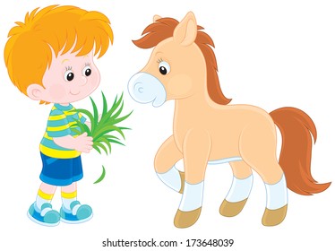 Boy feeds a pony