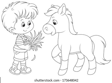 Boy feeds a pony