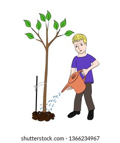 
The boy is a gardener. A boy is pouring a small tree out of a watering can. Vector image.
