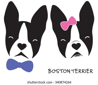 Boy and Girl Boston Terrier Wearing Bows