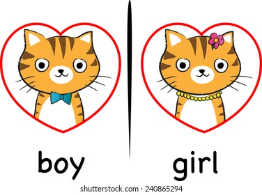 boy and girl cat face
