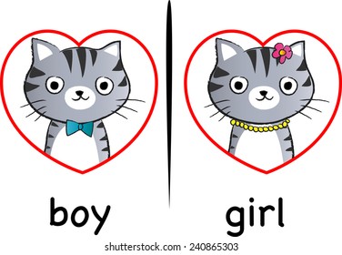 boy and girl cat face