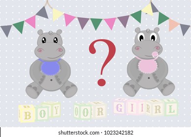 Boy or girl, celebration 