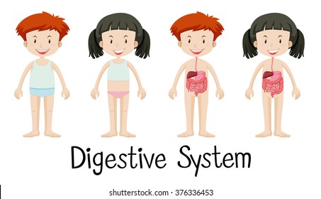 Boy and girl with digestive system illustration