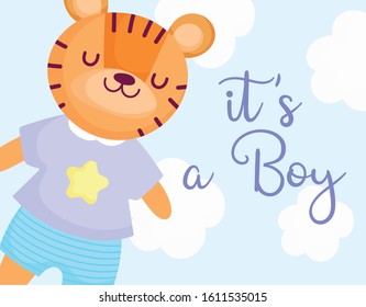 boy or girl, gender reveal its a boy cute tiger with shirt and pants card vector illustration