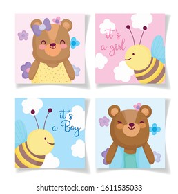 boy or girl, gender reveal cute animals cards invitation vector illustration