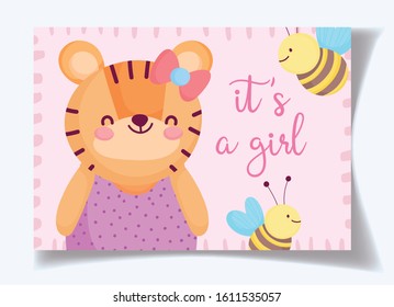 boy or girl, gender reveal its a girl cute tiger and bees card vector illustration