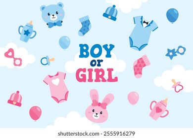 Boy or Girl Gender Reveal Element Background