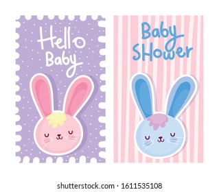 boy or girl, gender reveal hello baby cute rabbits card vector illustration