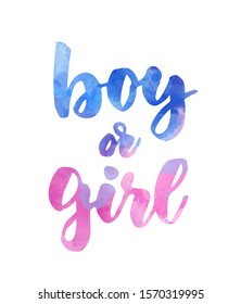 Boy or girl. Gender reveal illustration. Inspirational handwritten modern calligraphy lettering. Template typography for t-shirt, prints, banners, badges, posters, postcards, etc.