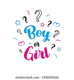 boy or girl gender reveal party 