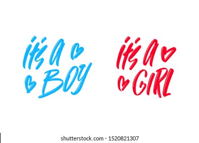 Its a boy, girl hand drawn modern brush lettering text. Vector illustration logo for print and advertising