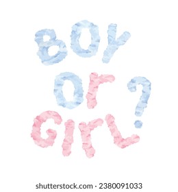 Boy or Girl text. Vector illustration for prints at the baby gender reveal party. Hand drawn lettering on white isolated background. Watercolor drawing of cloud font for stickers and cards