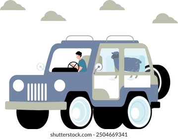 The boy is going to deliver the sheep on the jeep.