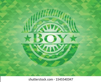Boy green emblem with triangle mosaic background. Vector Illustration. Detailed.
