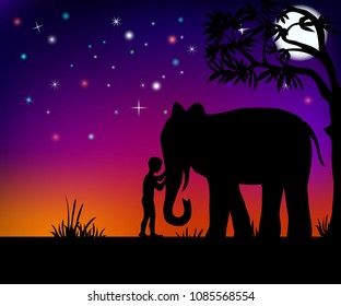 Boy hugging an elephant under a starry sky vector illustration