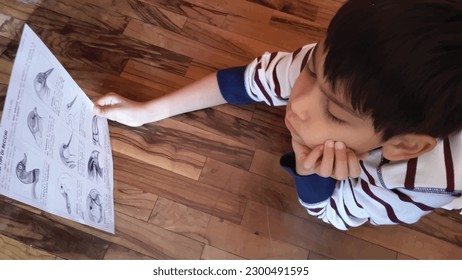 Boy learn about local type of birds